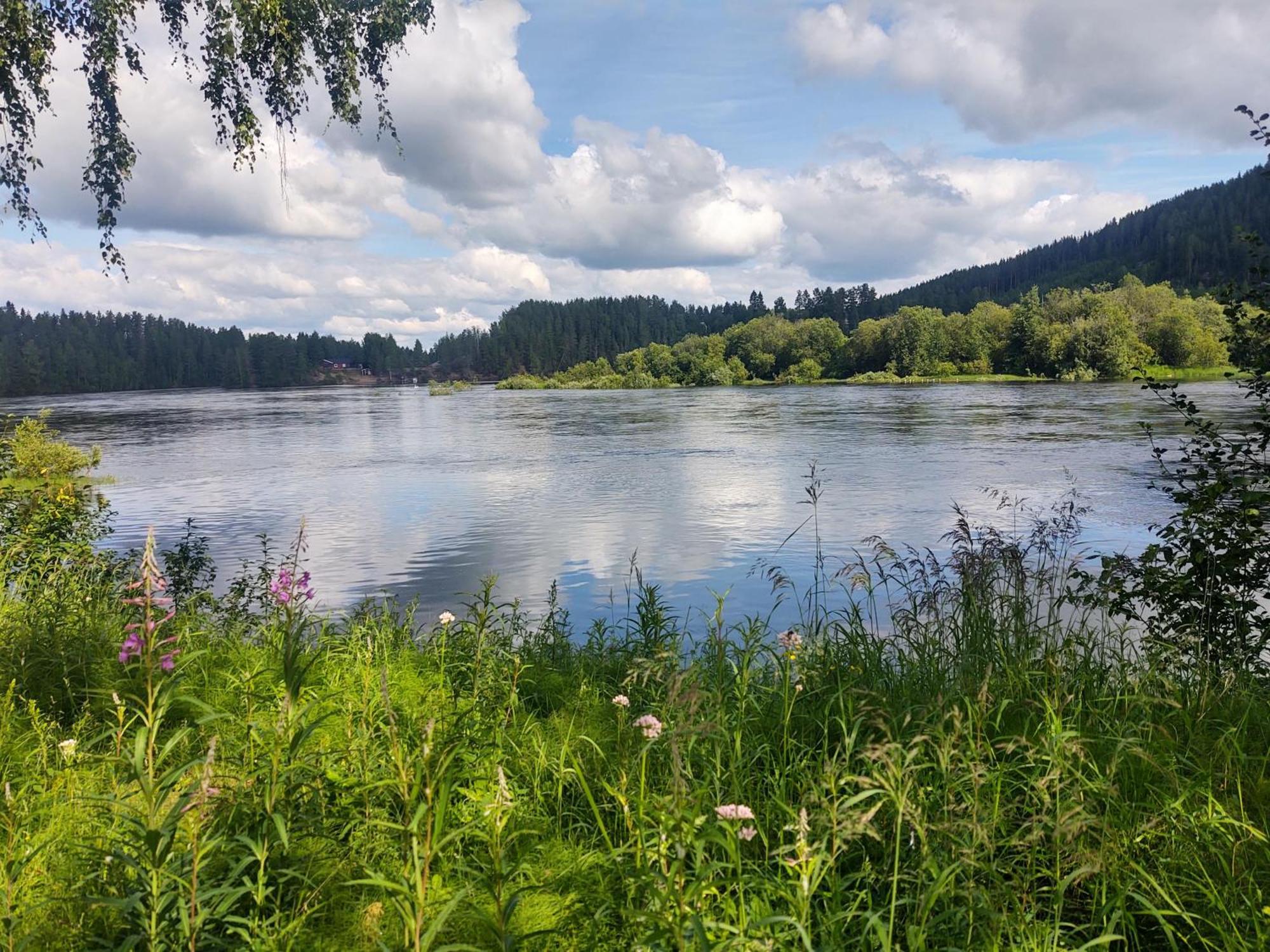 Selholmens Camping Älvsbyn Extérieur photo